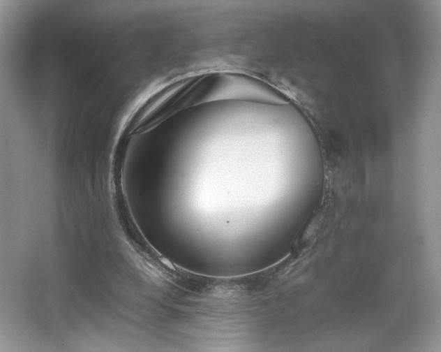 X0000065250248200602171435