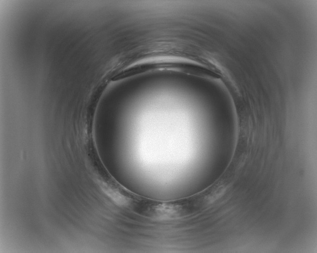 X0000065250261200602171435