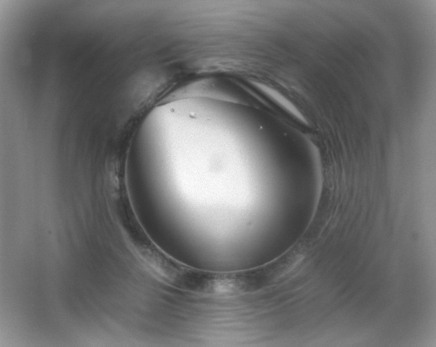 X0000065250264200602171436