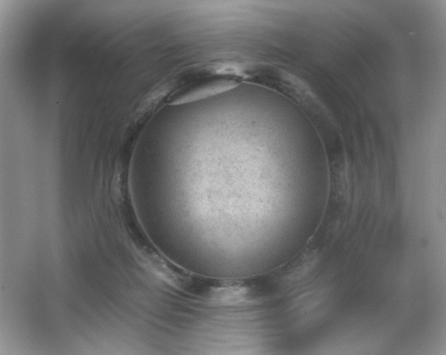 X0000065250266200602171436
