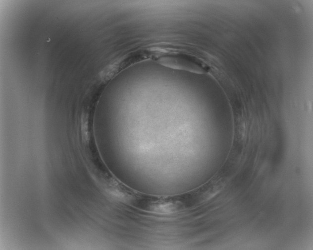 X0000065250267200602171436