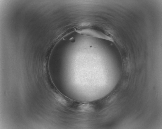 X0000065250269200602171436