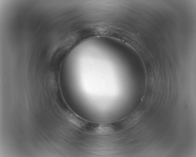X0000065250270200602171436