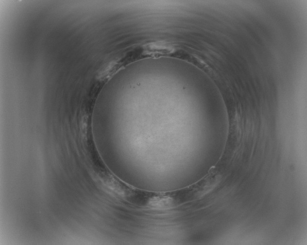 X0000065250271200602171436
