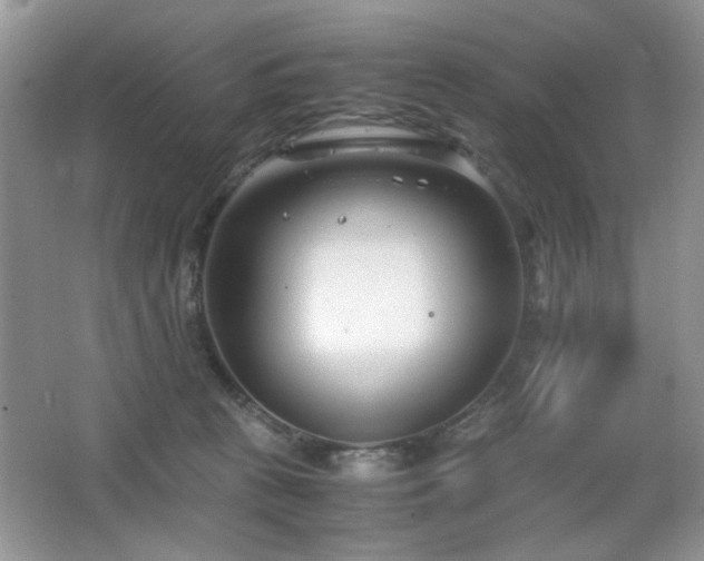 X0000065250273200602171436