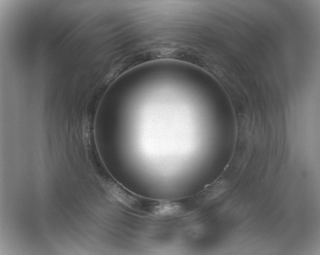 X0000065250274200602171436