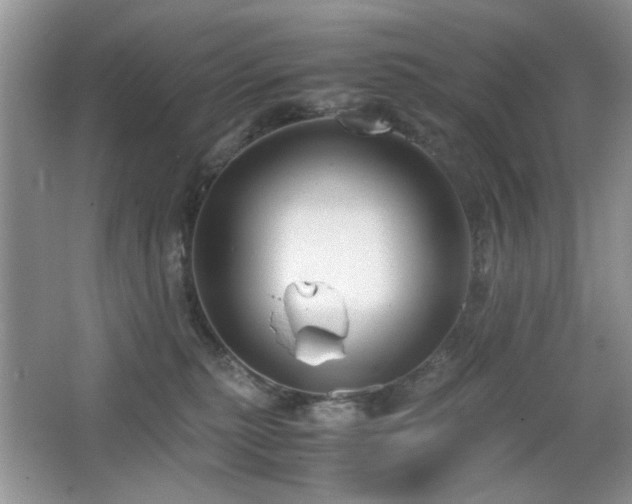 X0000065250279200602171436