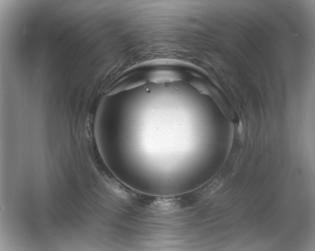 X0000065250280200602171436
