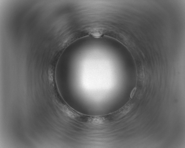 X0000065250282200602171436
