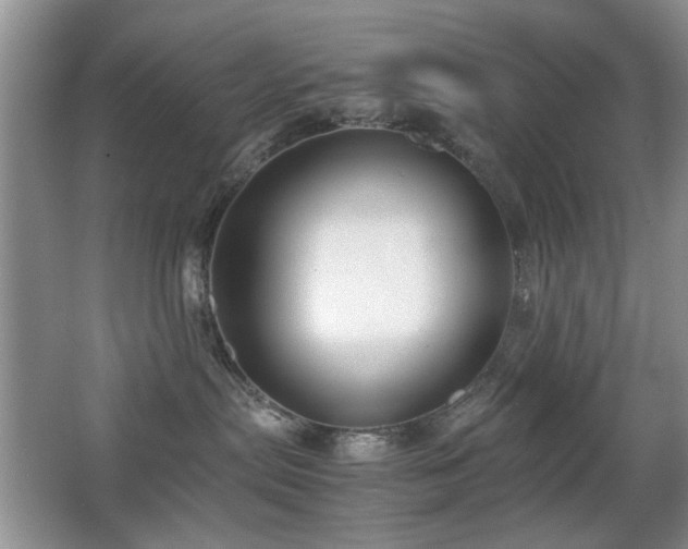 X0000065250287200602171436