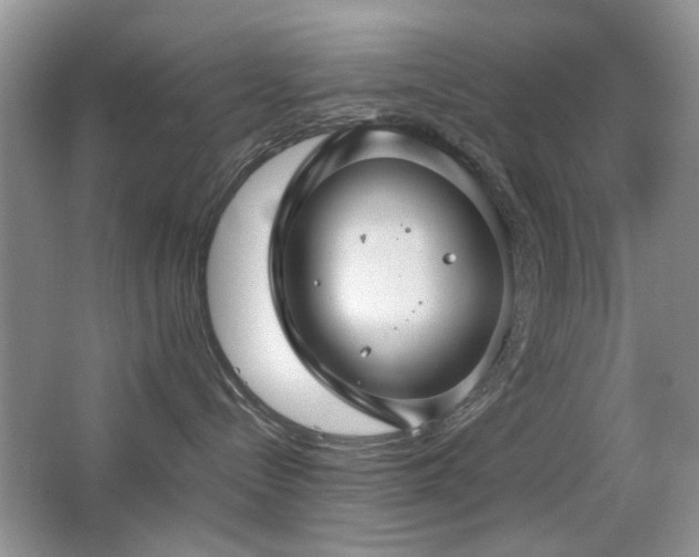X0000065250288200602171436