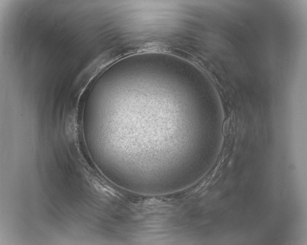 X0000065250290200602171435