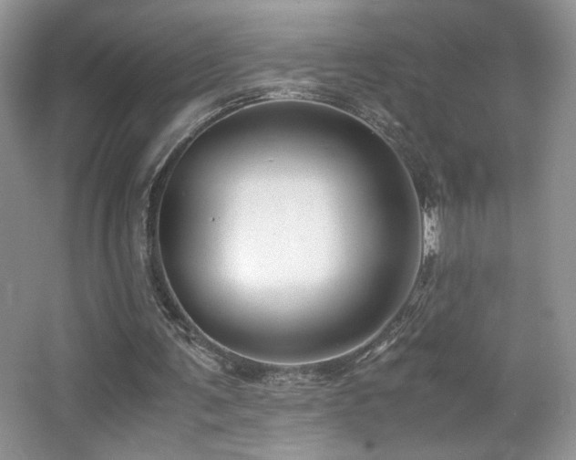 X0000065250291200602171435