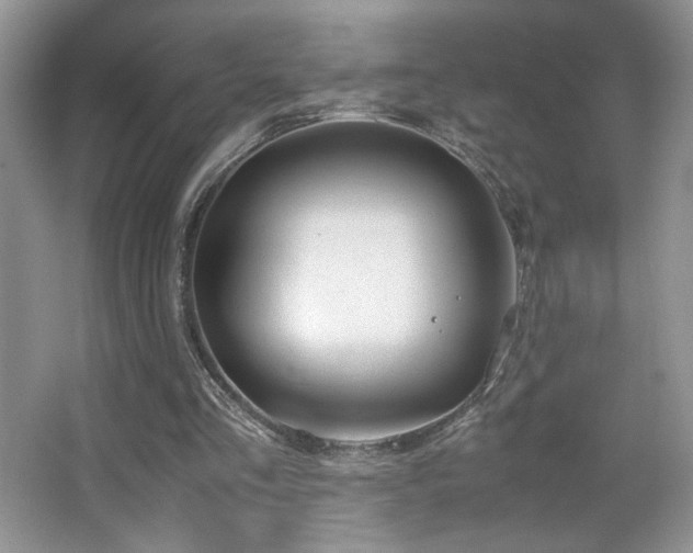 X0000065250293200602171435