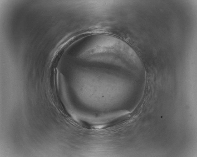 X0000065250295200602171435