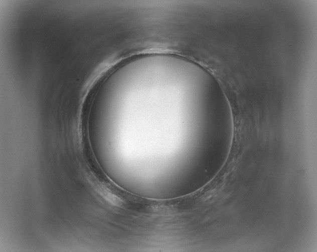 X0000065250296200602171435