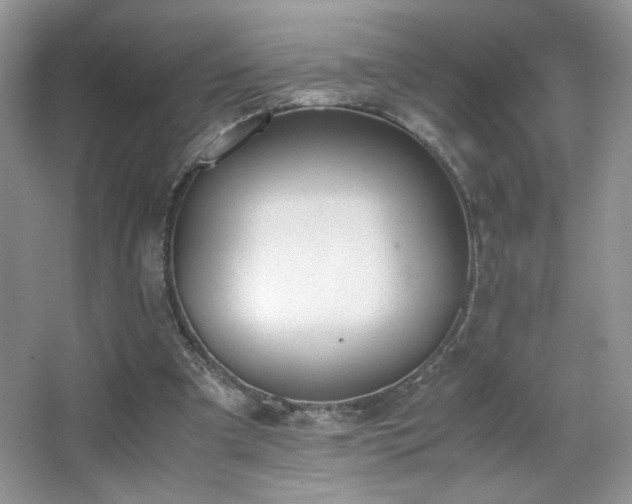 X0000065250297200602171435