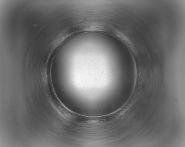 X0000065250298200602171435