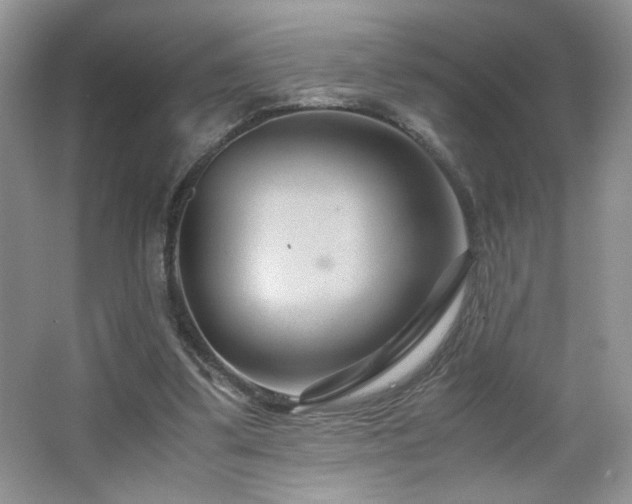X0000065250299200602171435
