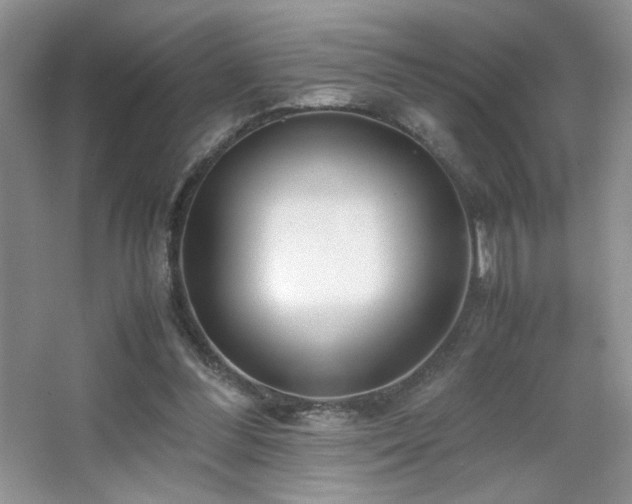 X0000065250300200602171435