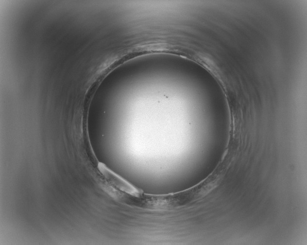 X0000065250301200602171435