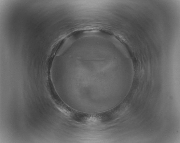 X0000065250303200602171435