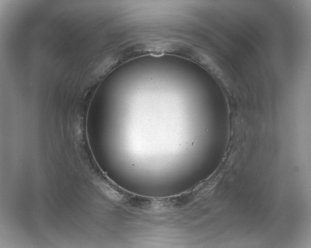 X0000065250305200602171435
