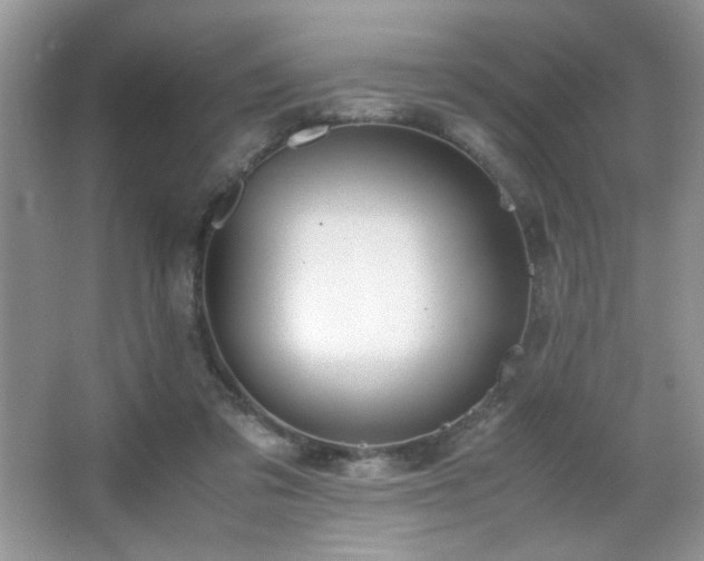 X0000065250309200602171435