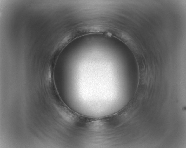 X0000065250310200602171435