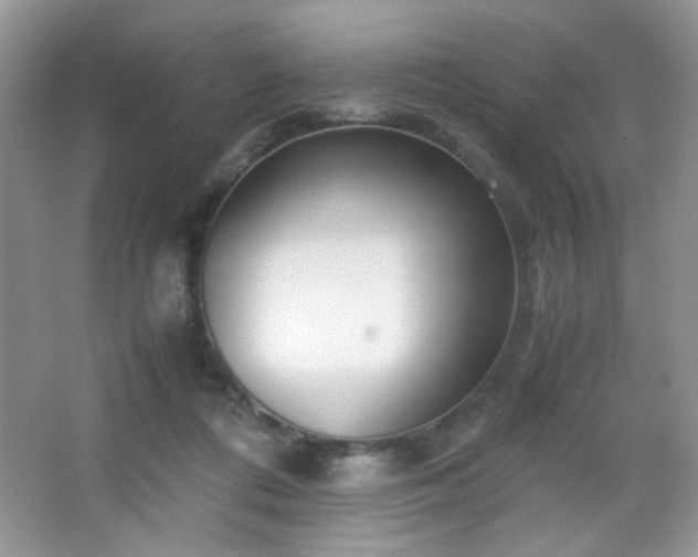 X0000065250312200602171435