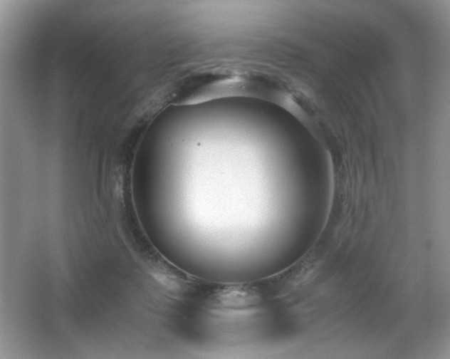 X0000065250315200602171435