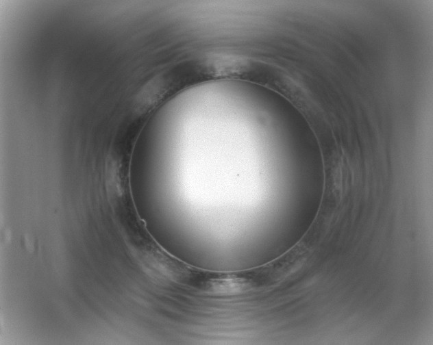 X0000065250316200602171435