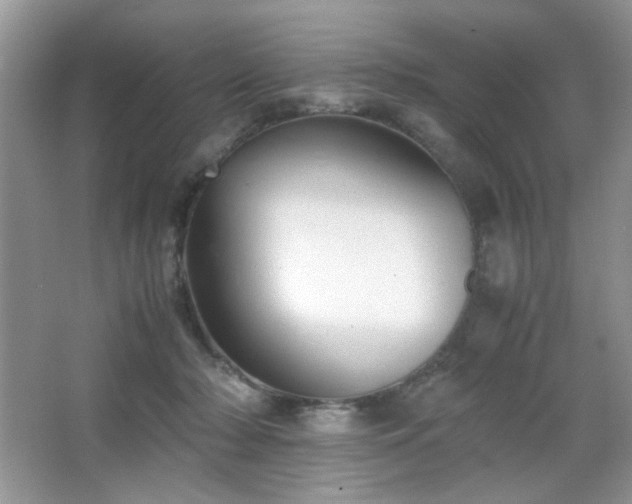 X0000065250318200602171435