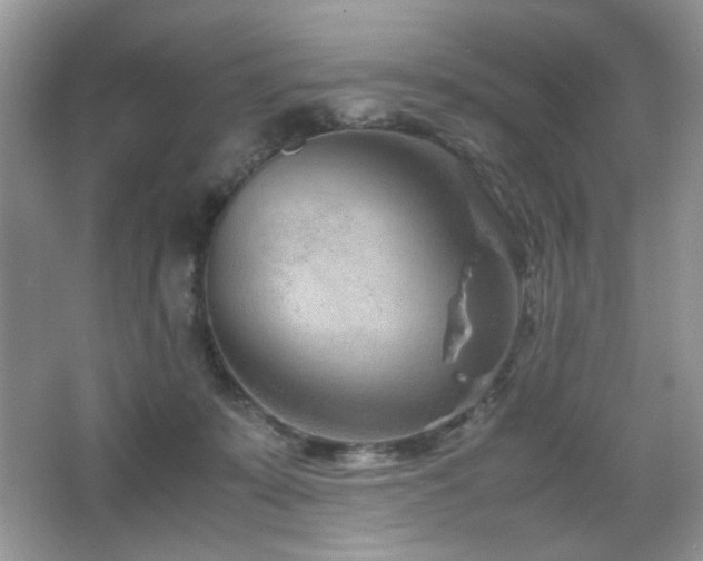 X0000065250319200602171435