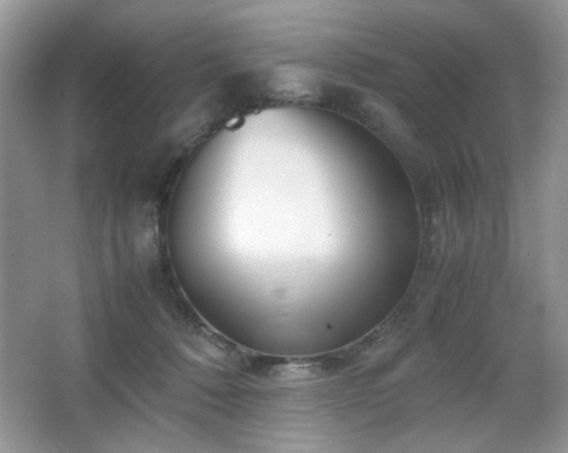 X0000065250320200602171435