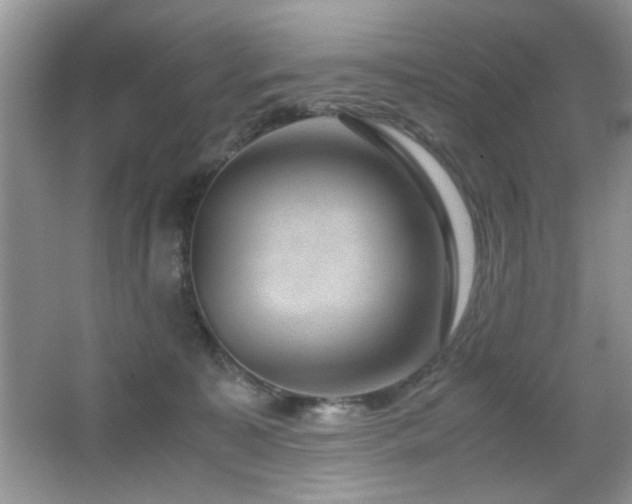 X0000065250323200602171435