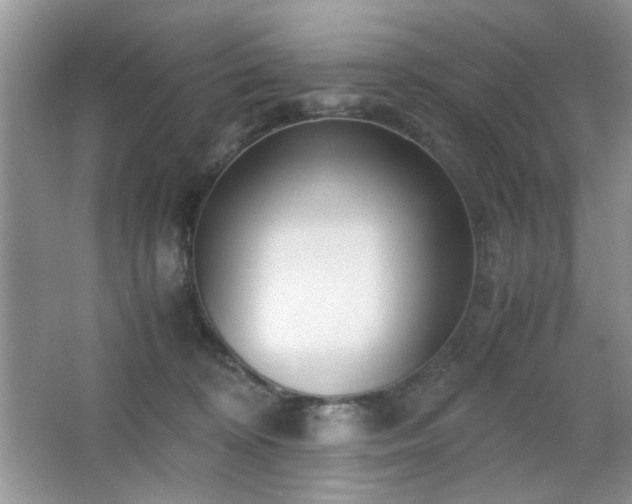 X0000065250324200602171434