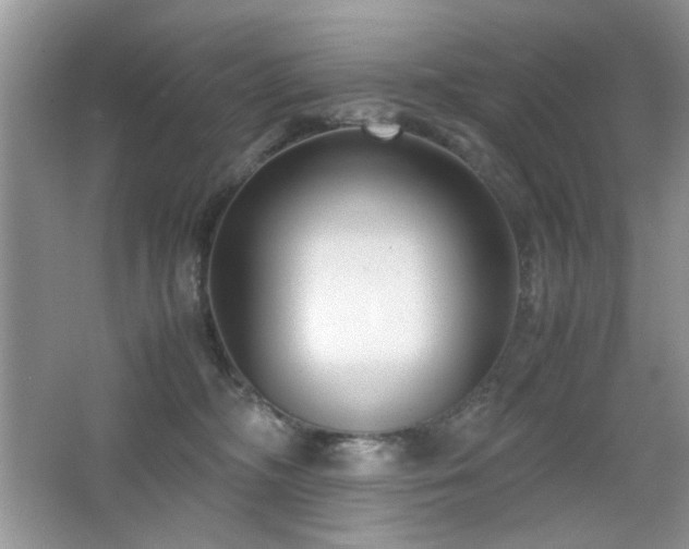 X0000065250326200602171434