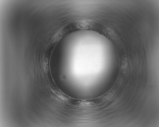 X0000065250332200602171434