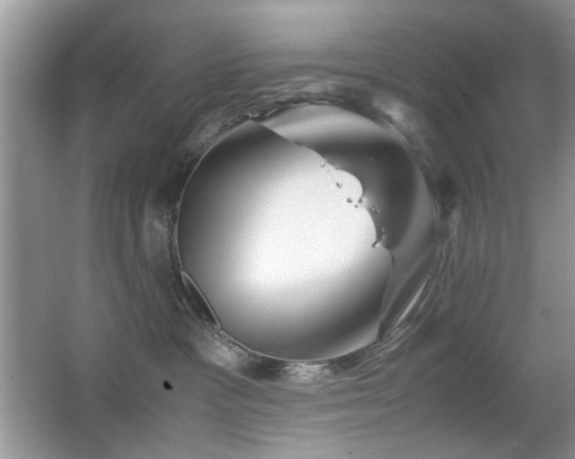 X0000065250333200602171434