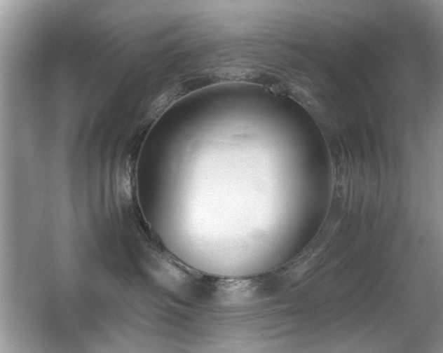 X0000065250334200602171434