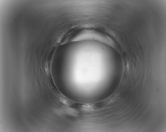 X0000065250335200602171434