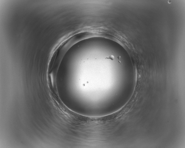 X0000065250340200602171434