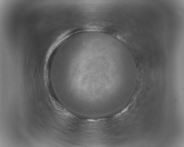 X0000065250343200602171434