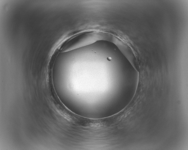X0000065250344200602171434