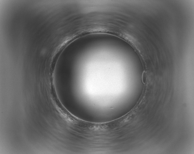X0000065250345200602171434