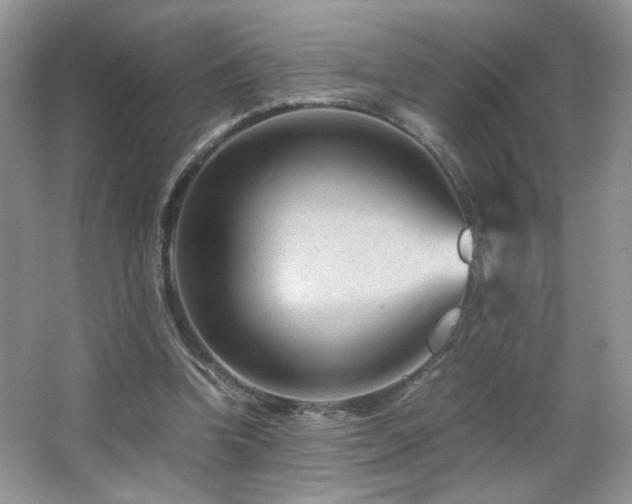 X0000065250346200602171434