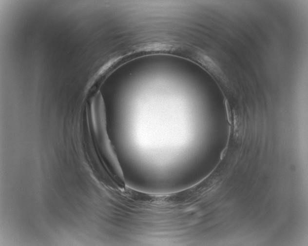 X0000065250348200602171434