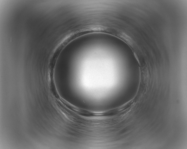 X0000065250350200602171434