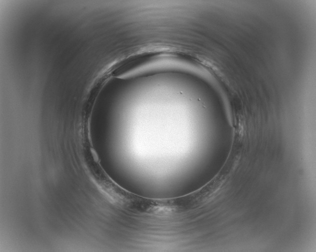 X0000065250352200602171434